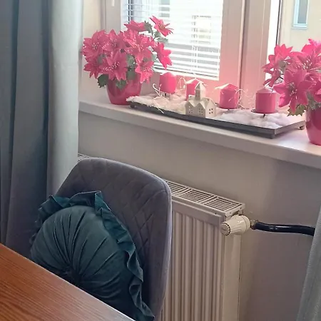 Thea 100m2 For 5 Guests In Rose Ljubljana