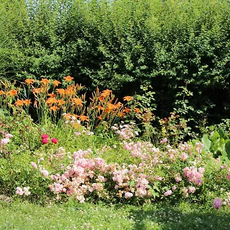 Appartement Thea 100m2 For 5 Guests *