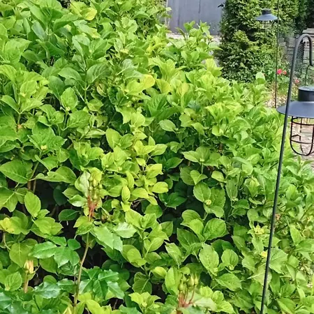 Thea 100m2 For 5 Guests Appartement Ljubljana