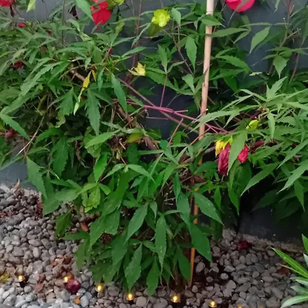 Thea 100m2 For 5 Guests Apartment