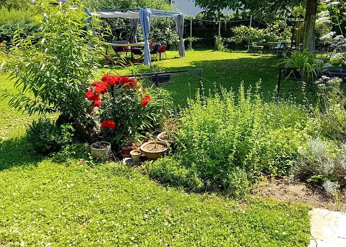 Thea 100m2 For 5 Guests In Rose