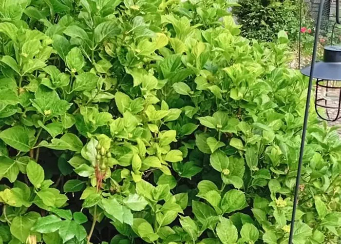 Thea 100m2 For 5 Guests In Rose Apartmán Lublaň